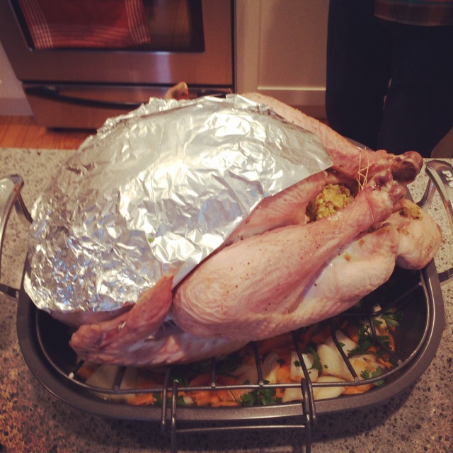 Turkey_Dinner
